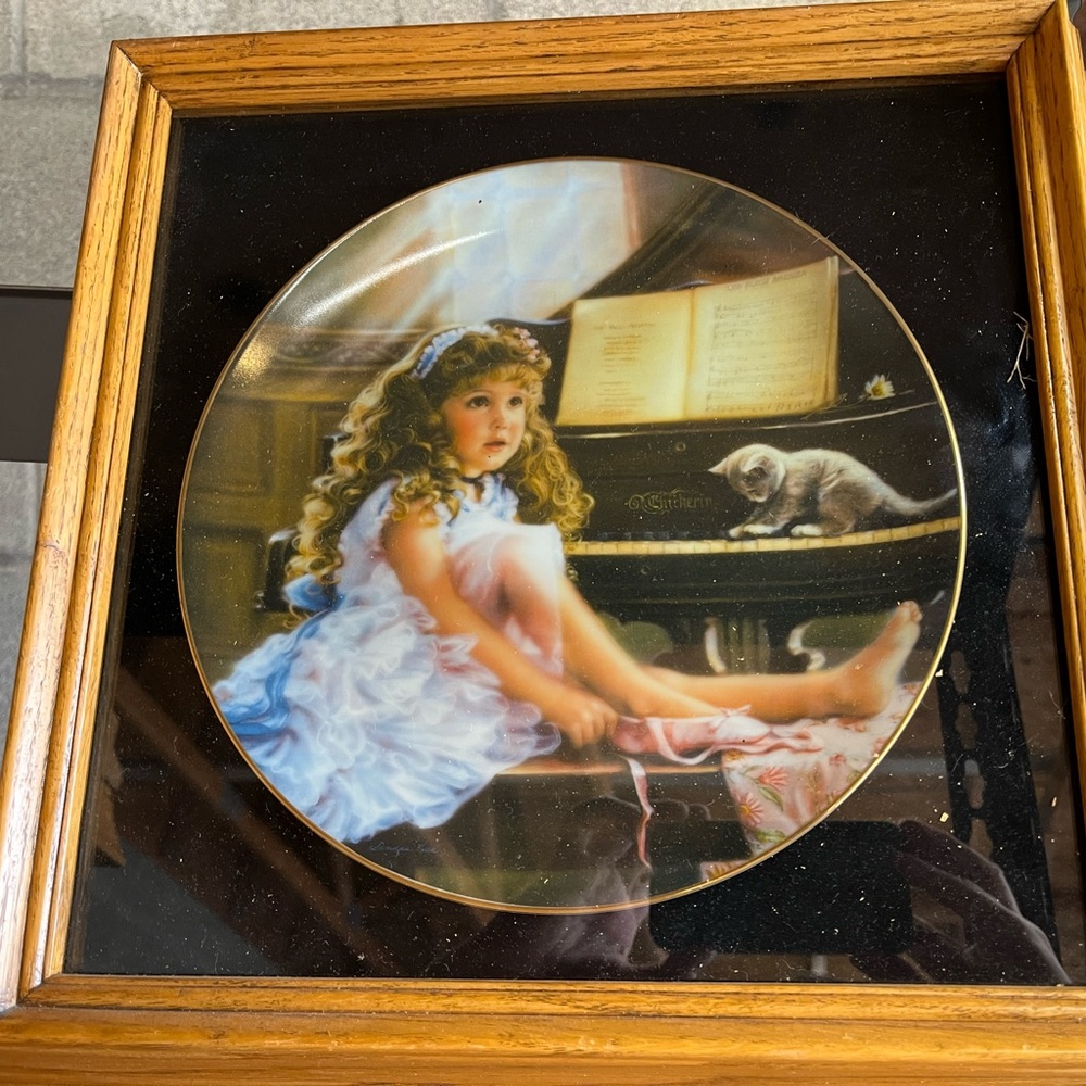 Framed China Plate